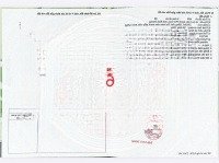 1 Cặp Diện Tích 250M2 Có 100M2 Thổ Ngày Lòng Khu Dân Cư Bán Đúng Giá 2 Lô 450T Tại Phú Giáo