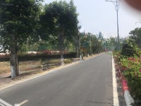 Bán Lô Đất 3 Mặt Tiền Đường Đào Cử, Tt Cần Thạnh, Cần Giờ. 2500M2 (2000M2 Thổ Cư)