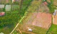 Bán Trang Trại, Khu Nghỉ Dưỡng Tại Tu Vũ, Thanh Thủy, Phú Thọ Giá Cực Chất 1,6 Tỷ, 2500 M2