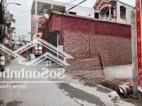 Siêu Phẩm Thuỵ Lôi- Thụy Lâm-Đông Anh-Hn: Duy Nhất 1 Lô Đường 2 Ô Tô Tránh-86M-Mt 5,8M-Hậu 6,1M.
