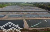 Bán Bđs Đất Đìa Nuôi Tôm Cam Thịnh Đông Tại Bình Tiên, Giá Thỏa Thuận, 18000M2