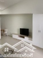 Cần Cho Thuê Căn Hộ Topaz Twins P.thống Nhất Biên Hòa Full Nội Thất Ngay Bv Ito Giá Bán 8 Tr 0933722992