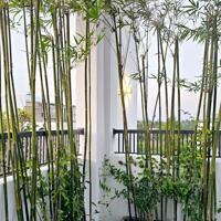 Bán nhà  đường d6, kdc hồng loan gần bến xe mới cần thơ giá 5,468 tỷ
