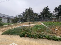 Bán Đất Cư Yên, Lương Sơn, Hoà Bình 498M2