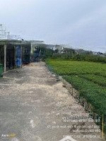 Chủ Kẹt Tiền Cần Bán Gấp 9 Lô Liền Kề Giá Bán 11,5 Tỷ Thương Lượng