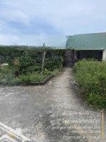 Chủ Kẹt Tiền Cần Bán Gấp 9 Lô Liền Kề Giá Bán 11,5 Tỷ Thương Lượng