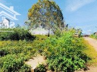 Đất Nền Biệt Thự 2 Mặt Tiền Kqh Đường Măng Lin.diện Tích236M2, View Thông Đẹp, Đường Nhựa. Giá Bán 6 Tỷ