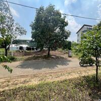 BÁN LÔ 6X20 full thổ cư gần chợ đầu mối Thủ Đức giá hơn 4 tỷ sổ riêng đường nhựa 12m