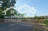 Bán Đất Đẹp Tại Minh Lập, Chơn Thành, Bình Phước Giá Siêu Hời 300 Triệu, 250M2