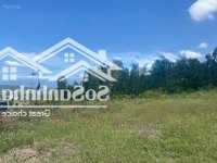 Chuyển Nhượng Lô Đất Rừng Sx Phù Hợp Làm Trang Trại - Khu Nghỉ Dưỡng Tại Xã Ninh Lộc, Ninh Hòa