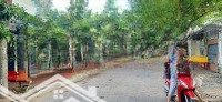 Bán Đất Tại Đường Hoà Mỹ 8, Hòa Khánh Nam, Liên Chiểu, Đà Nẵng, 3,75 Tỷ, 100M2