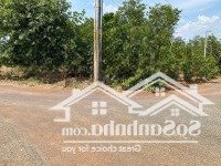 Cô 3 Cần Bán Lô 1000M2 Siêu To Khổng Lồ Để Về Quê Ở Với Con Cháu