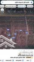 Cc Cần Tiền Bán Nhanh Đất Nông Nghiệp Hoà Hội, Xuyên Mộc. Diện Tích 10659M2
