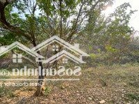 Bán Mảnh Bám Hồ Đẹp Như Tranh, Phù Hợp Làm Nghỉ Dưỡng Tại Hiền Lương - Đà Bắc - Hòa Bình