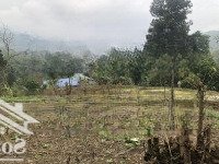 Chính Chủ Cần Bán 1.614M2 Đất Tại Xóm Ké Xã Hiền Lương - Đà Bắc - Hoà Bình. Đất View Hồ Đẹp