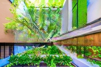 Bán Toà Boutique Villa Siêu Đẹp Biển Mỹ Khê Dòng Tiền 300 Triệu/Tháng, Pháp Lí Chuẩn