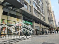 Vốn 4 Tỷ Có Ngay Shop Mặt Sảnh 80M2 Tòa The Canopy Residences - Kđt Tây Mỗ Dòng Tiền Kd 100 Triệu/Th