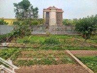Bán Lô Đất Mặt Đường Đức Thắng, Minh Đức, Đồ Sơn Giá Chỉ Nhô 1 Tỷ