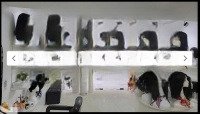 Bán Nhà Thái Hà Ngõ Ôtô Tải Tránh Kinh Doanh Sầm Uất 48M*5T*Mt5 Giá Bán 19 Tỷ, Công Năng Đ Đủ.