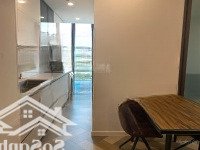 Giá Tốt Nhất Khu Vực! Cho Thuê Căn Hộ 1 Phòng Ngủthe Galleria - 24 Triệu/ Tháng (Dự Án The Metropole)