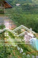 3000M Bám Suối Đẹp Giá Rẻ Đối Diện Homestay Đẹp Như Tranh Vẽ