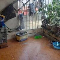 Cho thuê căn hộ 70m2, tầng 4, 2 ngủ khu tập thể quân đội ngõ 558 Nguyễn Văn Cừ,Long Biên