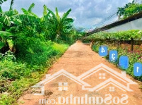 Lốc Bê Tông View Hồ 56 Tại Xã Eaning, Huyện Cư Kuin, Dak Lak Dt: 5X50M; Thổ Cư 60M2