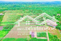Lốc Bê Tông View Hồ 56 Tại Xã Eaning, Huyện Cư Kuin, Dak Lak Dt: 5X50M; Thổ Cư 60M2