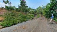 Bán Đất Hòa Lạc Tại Tđc Vai Réo, Quốc Oai, Hà Nội, Giá Siêu Hời Chỉ Với 32,9 Triệu / M2, 105,7M2