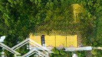 Bán 1000M2 Đất Ở Khu Cây Thông Trong, Mặt Tiền Khủng 31M, Có Đường Trên Sổ, Tách 3 Sổ 330M2 Quá Đẹp