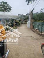 Bán Đất Nội Đồng Đại Thịnh Mê Linh Diện Tích 260M2Mặt Tiền13.5M 2Km Lên Cầu Hồng Hà, Giá Bán 30 Triệu/M2