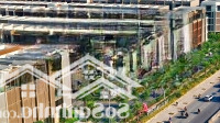 Bán Biệt Thự The Global City, 38.5 Tỷ Vnd, 95M2, 1 Trệt + 4 Lầu, Thiết Kế 5 Phòng Ngủ 4 Vệ Sinh Sổ Hồng Đầy Đủ