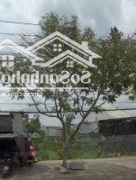 Cần Bán Đấtmặt Tiềnchâu Hưng, Phú Thuận, Bình Đại, Bến Tre. Giá 550 Triệu/120M2,Shr