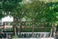Cho Thuê Nhà Mặt Phố Nguyễn Thị Định, Lô Góc, Diện Tích 182M2, 5 Tầng, Nhiều Tiện Ích
