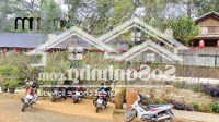 Bán Đất Tại Măng Đen, Kon Plông, Kon Tum, Giá Tốt 10,5 Tỷ, 540 M2