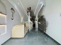 Chính Chủ Định Cư Nước Ngoài Bán Gấp Căn Nhà Giá Cực Tốt Nhà Nguyễn Sỹ Sách P15 Q. Tân Bình, Shr