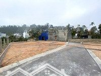Sở Hữu Lô Đất 65M2 Ngay Tỉnh Lộ 352, Trung Tâm Xã Liên Xuân, Thủy Nguyên, Hải Phòng, Chỉ Với 500 Triệu