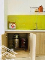 Cho Thuê Căn Hộ Midori The View 2 Phòng Ngủgiá Bán 9 Triệu - Tp Mới Bình Dương