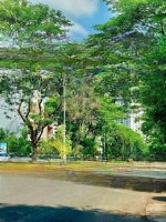 Bán Đất Phú Nhuận, Cách Công Viên, Hồ Sinh Thái 50M Phường Thạnh Mỹ Lợi.tp Thủ Đức