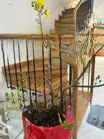 Bán Nhà Kế Quận 8 75M2 Nhỉnh 7 Tỷ 4 Tầng 4Pnhẽm Xe Hơinhà Mới Vào Ở Ngay