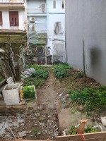 Lô Đất Siêu Hót Đầu Tư Giữ Tiền Hoặc Xây Nhà Vp Trung Tâm P. Thạch Bàn Quá Tốt