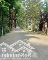 Cần Ra Gấp Đất Ngộp Bình Hòa Bình Nhâm 104M2/1Ty550 Nằm Ngay Chợ Bình Hòa, Sổ Sẵn Công Chứng Ngay
