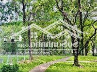 Nhận Booking Rổ Cđt Brilliant - 3 Option Thanh Toán - Trả 20% Nhận Nhà, Ân Hạn Gốc Lãi 2 Năm