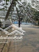 Bán 225M2 Đất Mặt Phố Phường Phúc Lợi, Mặt Tiền Rộng, Đường 13.5M, Giá Bán 35.2 Tỷ