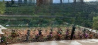 Bán Đất Tại Quốc Lộ 20, Xã Ninh Gia, Đức Trọng 2,5 Tỷ, 1001,2 M2 Hàng Hiếm Tại Giá Ưu Đãi