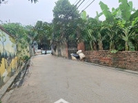 Bán Đất Cự Khối, Xuân Khôi, 255M2,Mặt Tiền9M, Giá Bán 10.95 Tỷ, Ô Tô Tránh Biệt Thự Vườn, Cuộc Sống An Lành