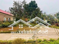 Sở Hữu 2300M2 Sẵn Khuân Viên Nghỉ Dưỡng, Suối Chảy Ngang Đất Tại Yên Bài Ba Vì, Giá Cả Hấp Dẫn