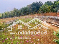 Sở Hữu 2300M2 Sẵn Khuân Viên Nghỉ Dưỡng, Suối Chảy Ngang Đất Tại Yên Bài Ba Vì, Giá Cả Hấp Dẫn