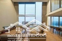 Hàng Hiếm Có - Giá Tốt Bất Ngờ! Pentstudio - Căn Duplex 2 Tầng Siêu Đẹp Tại Lạc Long Quân
