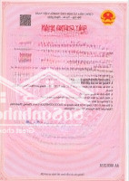 Chỉ Từ 900 Triệu Sở Hữu Căn Hộ 2 Phòng Ngủcho Thuê 10 Triệu/Tháng, Lợi Nhuận 12% /Năm